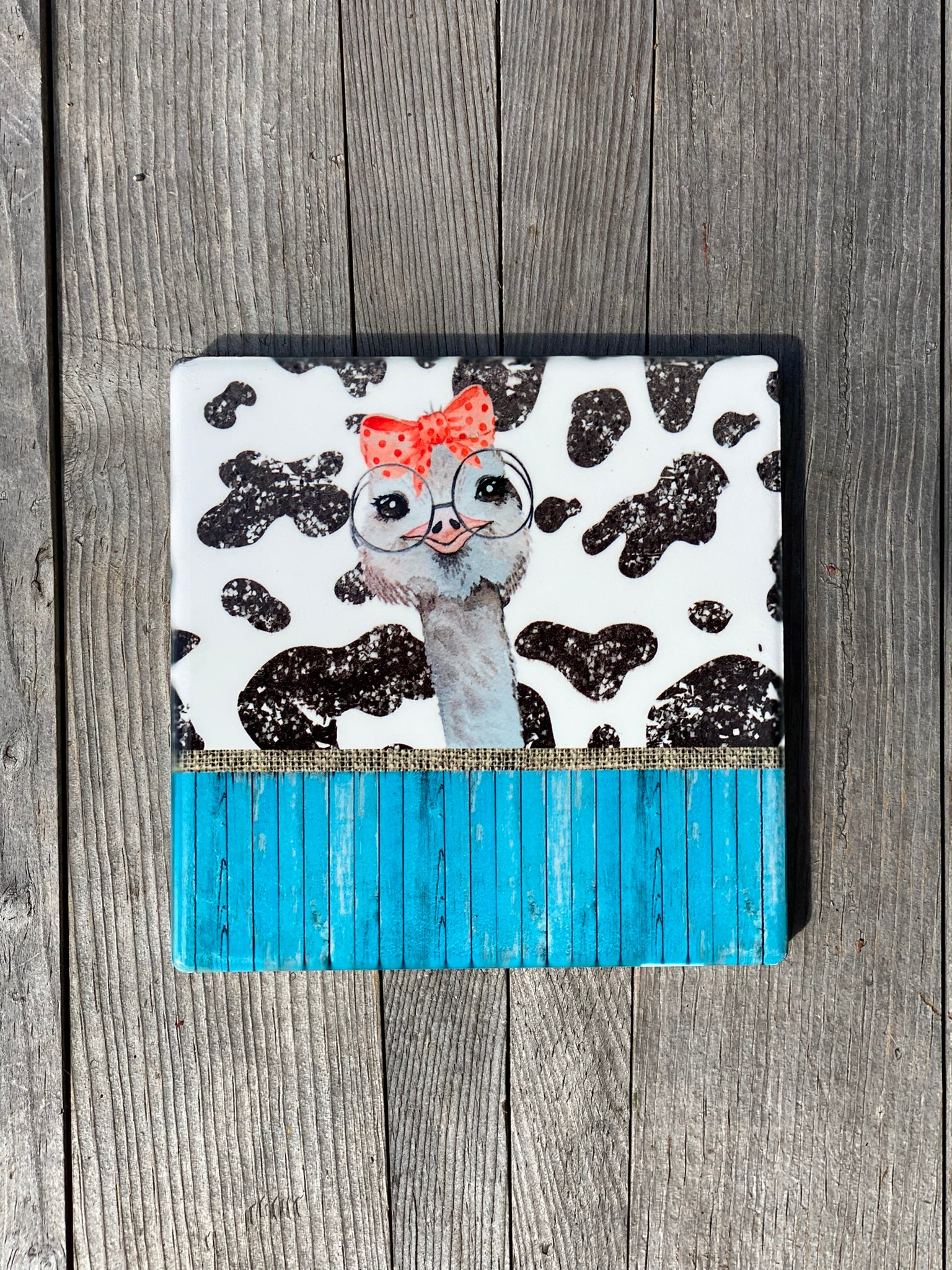 Barnyard Friends Ceramic Sublimation Coasters Pig Cow Ostrich Chicken